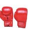 Xebec Boxing Glove