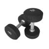 Commercial-Dumbell-WeigASCDhts-Set-Gym-Equipment-Fitness