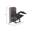 Function-Leg-Extension-Curl-J05-Web2