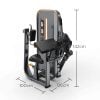 Seated-Biceps–Triceps-J206-Web2