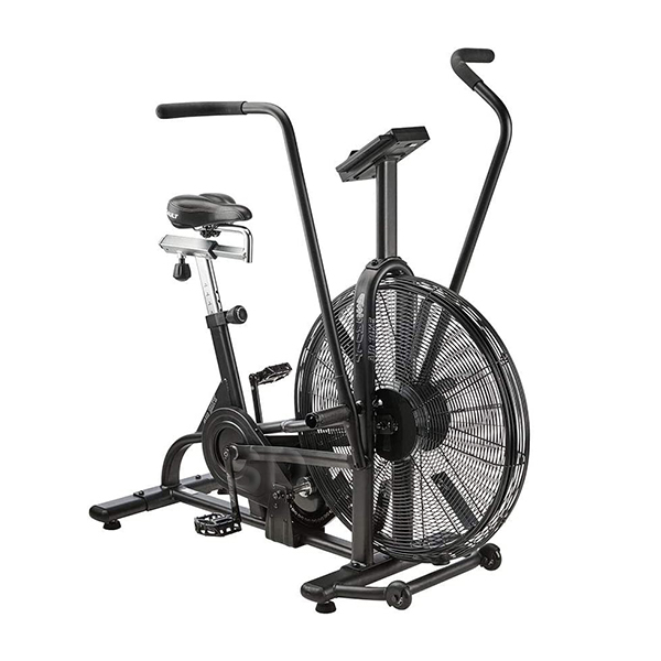 Assault Airbike