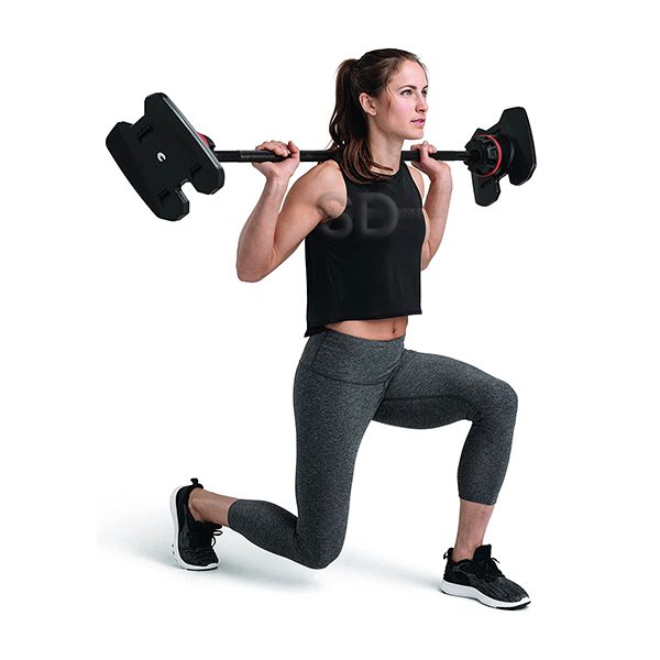 Barbell with Curl Bar Bowflex 2080 + Weight Upgrade + StandRack