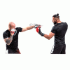 Focos-Par-RDX-de-Cuero-Boxing-Mitts-–-SPR-T1W-web666